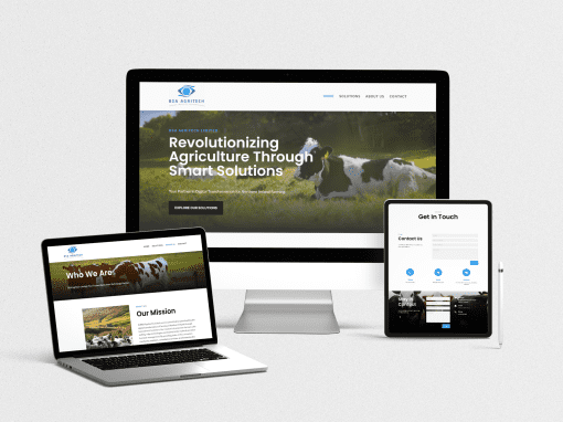 BSA Agritech Website Design